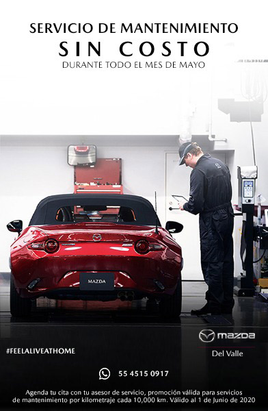 Mazda Evolution